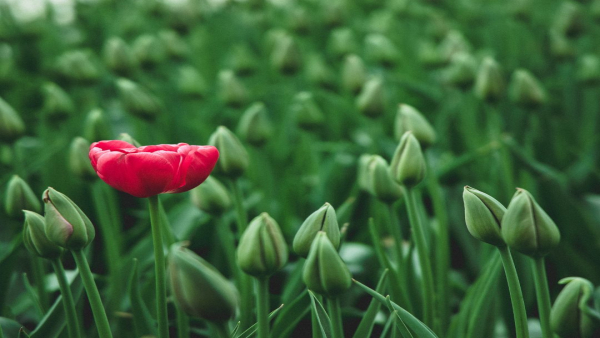 異業種からの転職者必見！あなたのスキルが介護で活かせる理由